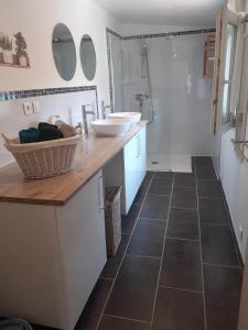 un bagno con bancone, 2 lavandini e doccia di L'Avre de Roye a Roye