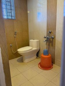 a bathroom with a toilet and a blue object in it at Vaishali Deluxe Comfort in Tumkūr