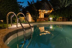 DragomirnaEvie's Tree House的夜间游泳池,有灯在房子里