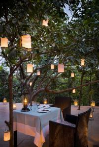 una mesa bajo un árbol con luces encendidas en Pashan Garh Panna National Park - A Taj Safari Lodge en Panna