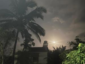 a house with palm trees and the sun in the sky at ROB'S INN Groupstay 