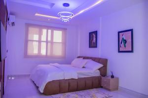a bedroom with a large bed and a window at Pwj Realty Apartments in Lekki
