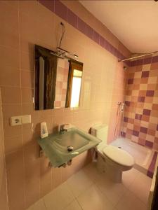 a bathroom with a sink and a toilet at La casita de horno in Toledo +8 photos