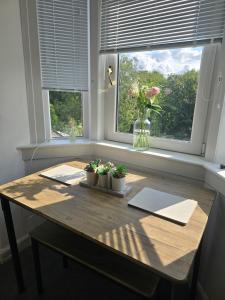 a table with potted plants on it in front of a window at Castleblair Snug - Entire Flat in Dunfermline in Dunfermline
