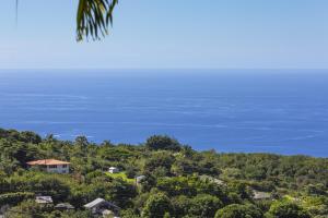 a house on a hill with the ocean in the background at Kona Coffee Villas E246 condo in Honalo