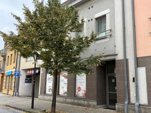 a tree on a sidewalk in front of a building at Apartment L'Atelier Parisien & Breakfast in Trnava