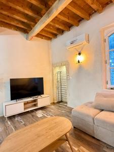 Una sala de estar con un televisor de pantalla plana y un sofá. en Appartement Cosy avec balcon, en Arles