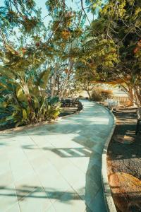 een loopbrug in een park met bomen op de achtergrond bij Casa Maida in Tetir