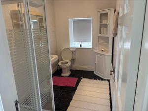 a small bathroom with a toilet and a window at Little Reds Seaview Cottage in Liscannor +14 photos