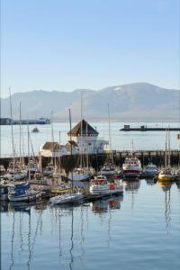 Φυσικό τοπίο κοντά σε αυτό το διαμέρισμα