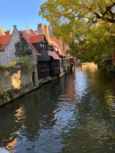 a river with houses on the side of it at Si brugge in Bruges +7 photos