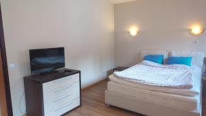 a bedroom with a bed and a tv on a dresser at Borovets Apartments, Flora Violet Residence in Borovets