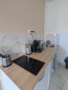 a kitchen with a counter top with a sink at les studios du canal in Eckbolsheim +6 photos