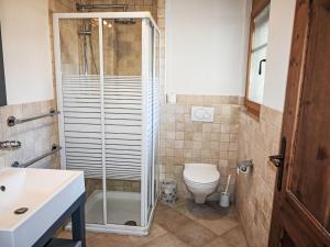 a bathroom with a shower and a toilet and a sink at Apartment Ardève No 11 by Interhome in Ovronnaz +11 photos