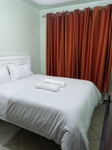 a bedroom with a white bed with a red curtain at Legatus Cozy Homes Ngong in Ngong