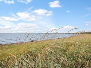 a field of tall grass next to a beach at Holiday Home Eisa - 300m to the fjord by Interhome in Øsløs