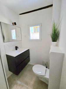 Un baño con inodoro, lavabo y espejo. en Studio cosy à callas avec vue dégagée, en Callas