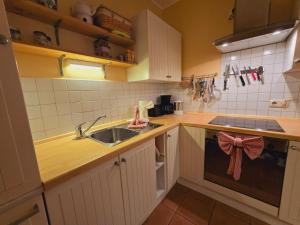 a kitchen with a sink and a dishwasher at Haus am Meer Whg3 in Rerik