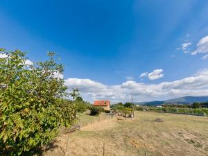 a field with an apple tree and a house at Matias Nature - Mountain Lodges in Serra da Estrela, Seia in Carragozela