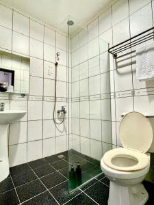 a bathroom with a toilet and a shower at 羅東多倫多包棟民宿-合法編號659號 in Luodong