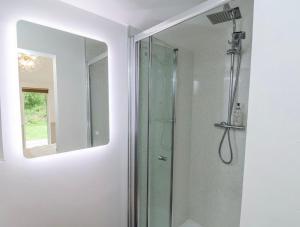 a bathroom with a shower and a mirror at Alum House Littlebeck, Whitby - Roe Deer Lodge in Sleights +59 photos