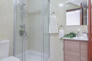 a bathroom with a shower and a toilet and a sink at Terreo 10-12 in A Coruña
