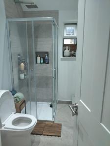 a bathroom with a shower and a toilet at Beautiful flat in the heart of South London in London