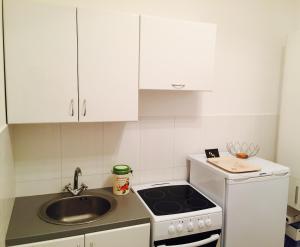Kuchyň nebo kuchyňský kout v ubytování Apartmani Perić