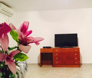 TV a/nebo společenská místnost v ubytování Apartmani Perić