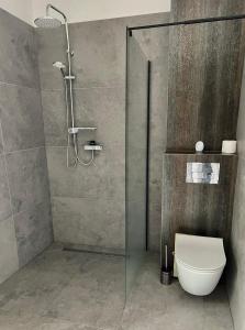 a bathroom with a shower and a toilet at Dom na wynajem Śrem 52 in Nochowo