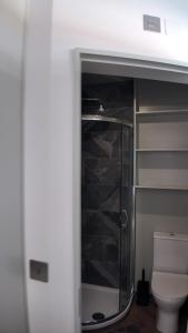 a bathroom with a glass shower and a toilet at City Luxe Garden Suite in Crystal Palace