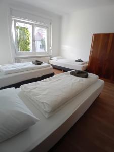 three beds in a room with a window at Bükfalva Bercsényi13 in Bük +7 photos