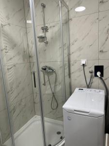 a shower with a glass door next to a toilet at Apartma Center Ljutomer in Ljutomer