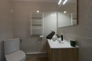 a bathroom with a toilet and a sink and a mirror at Le Reflet de Valéry - Proche Plage in Le Bois de Cise +7 photos