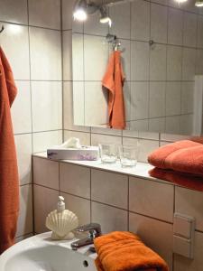 德累斯顿德累斯顿埃托克维泽弗瑞恩&莫斯克私人会馆的带水槽、镜子和毛巾的浴室 更多54张照片