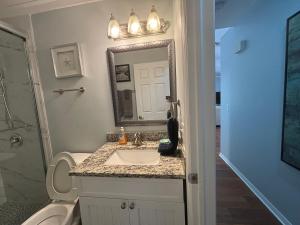 a bathroom with a sink and a toilet and a mirror at Tarpon - Spacious Updated W&D Full Kitchen 1.5 Mi to Beach in Bonita Springs +31 photos