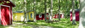 a row of houses in a forest of trees at Ferienpark-Eichenwald in Dranske