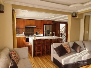 クエンカにあるSuite Four, luxurious, with BBQ areaのソファとキッチンのあるリビングルーム