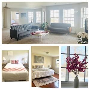 フレデリクトンにあるCozy guest suite in the heart of Frederictonのリビングルームとベッドルームのコラージュ