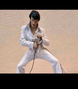WildfleckenにあるElvis Homeの男性がマイクを持ったロープを持っている