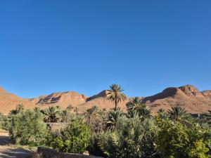a view of the desert with palm trees and mountains at Gîte Palma Eagle Ziz Canyon in Er Rachidia