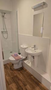 Koupelna v ubytování Benita - Apartment 2 + 3 fotografie