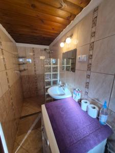 a bathroom with a sink and a toilet and a shower at Vidám Vándor Vendégház in Parád +10 photos
