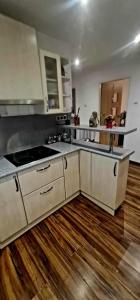 Kuchyň nebo kuchyňský kout v ubytování Apartmán MIKA