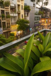 a green plant on a balcony in a city at The Writeriana de Lumière in Ho Chi Minh City