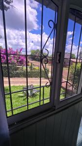 a window with a view of a cow in the grass at Obera Departamento Hasta 4 Personas in Oberá