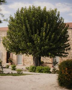 a large tree in front of a brick building at Arcadia Agriturismo in San Nicola Manfredi