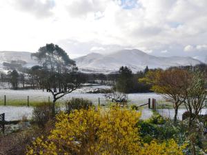 un campo nevado con árboles y montañas al fondo en Overwater Lodge, en Bassenthwaite Lake