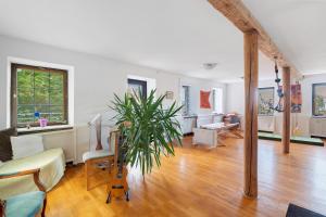 a living room with a couch and a plant in it at Ferienwohnung Spiritbalance in Sasbachwalden