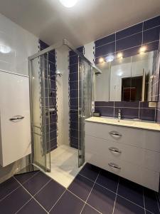 a bathroom with a shower and a sink at L'ALTÉA - top floor - bright - city center in La Roche-sur-Foron